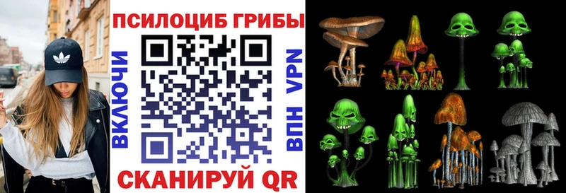 Галлюциногенные грибы мицелий  Купить закладки  Калачинск 